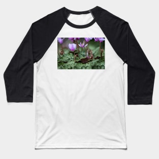 Cyclamen hederifolium (ivy-leaved cyclamen) Baseball T-Shirt